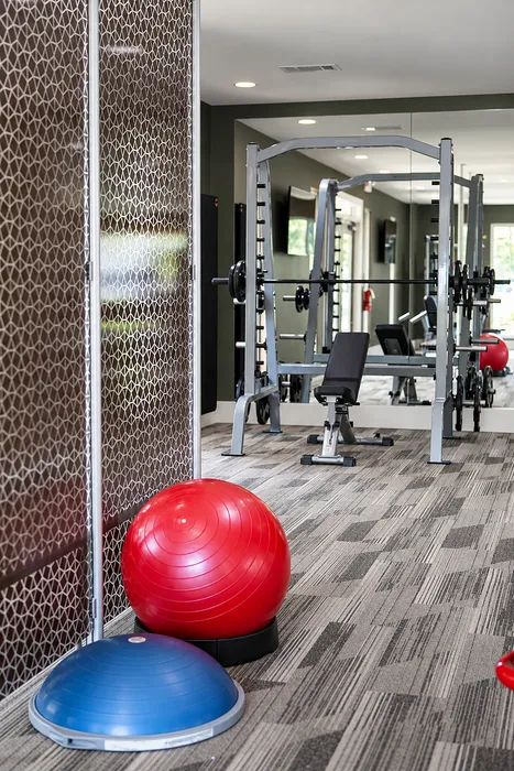 Avana Portico - Fitness Center