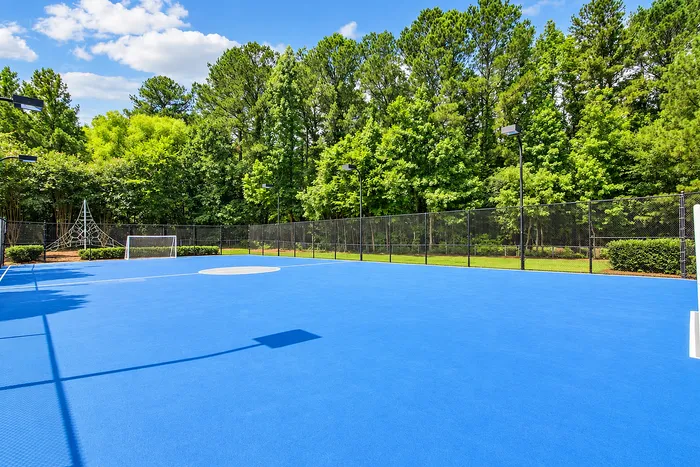 Avana Portico - Blue Sports Court