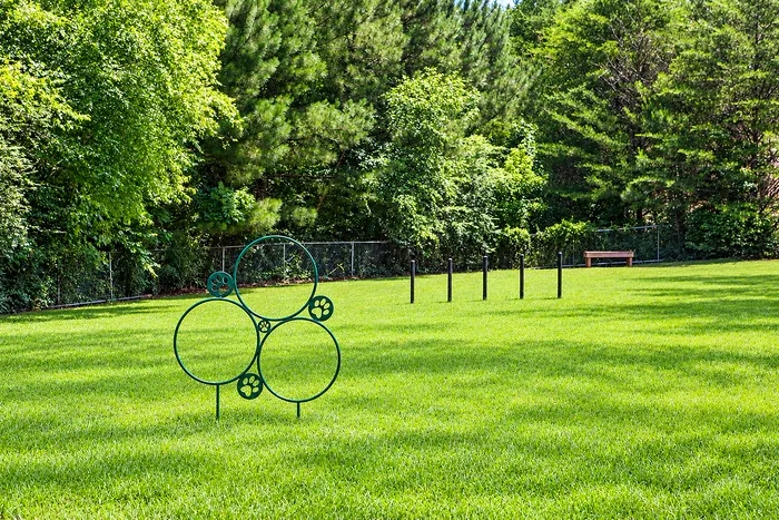 Avana Portico - Outdoor Dog Park
