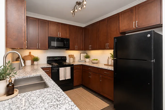 Avana Portico - Modern Kitchen