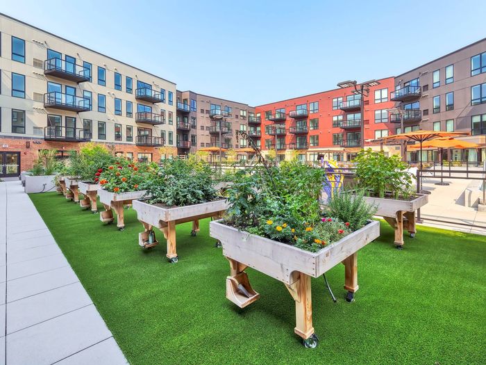 Courtyard Gardening