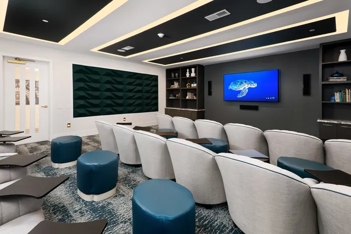 Theater Room
