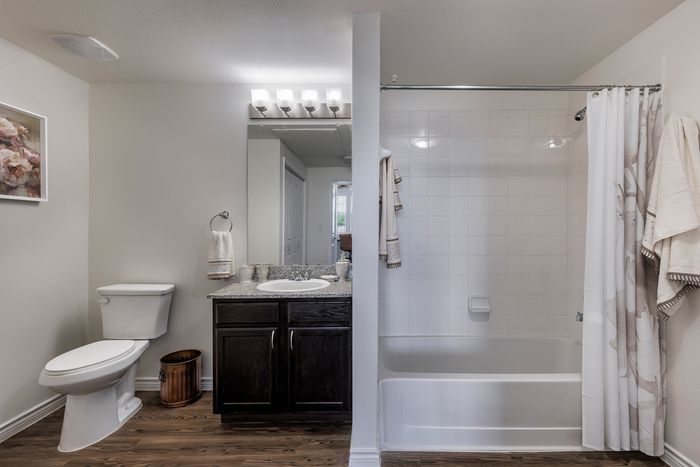 Model Bathroom
