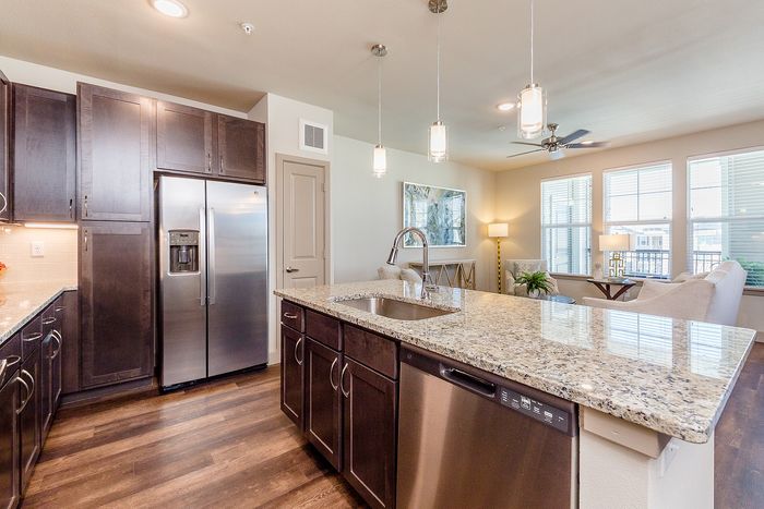 Luxurious Kitchen