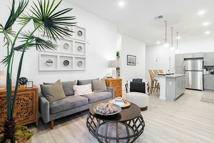Living Room and Kitchen