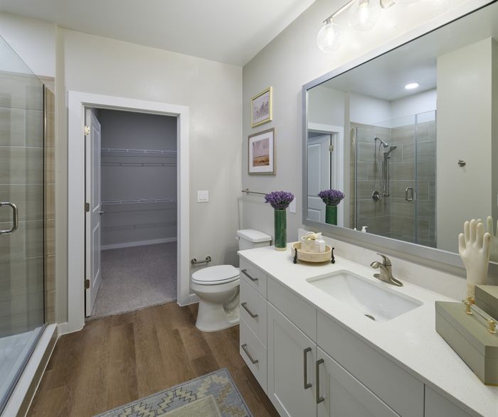 Model Bathroom