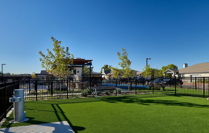 Dog Park