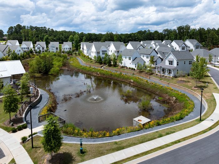 Charming residential community with modern homes set against a scenic pond and lush greenery, featuring picturesque walking paths and serene natural surroundings.