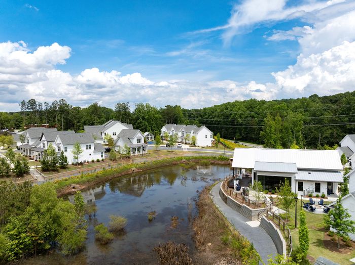Charming neighborhood view featuring picturesque homes, lush greenery, and a serene pond under a bright blue sky.