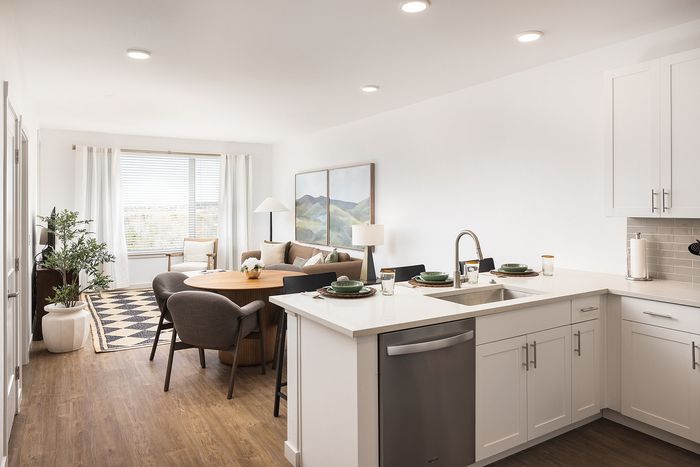 Kitchen Top and Living Area
