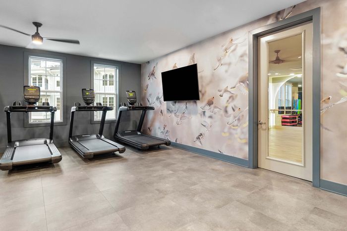 Modern fitness room featuring three state-of-the-art treadmills, chic bird-themed wall decor, and a sleek design perfect for energizing workouts.