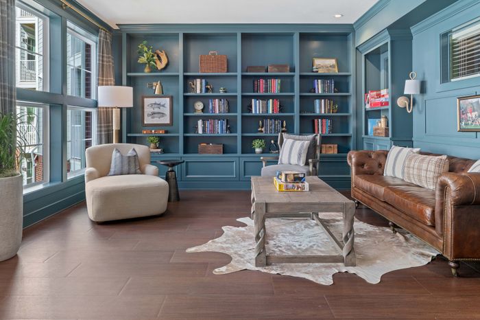 Elegant living room with charming blue bookcase, cozy seating, and stylish decor, bathed in natural light.