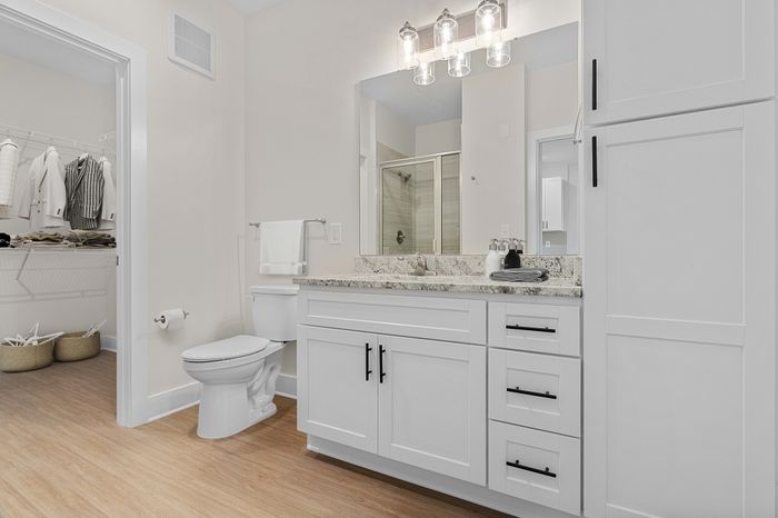 Elegant bathroom with sleek white cabinetry, granite countertop, and a spacious walk-in closet, creating a luxurious and modern atmosphere.