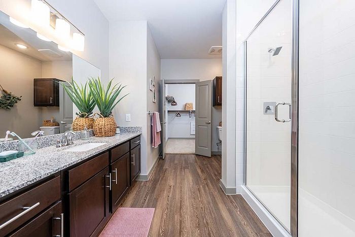 Bathroom with Spacious Closet
