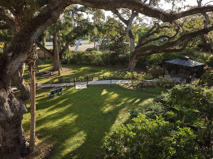 Garden and Public Area