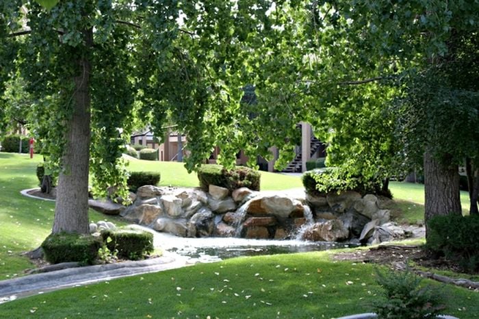 Grounds