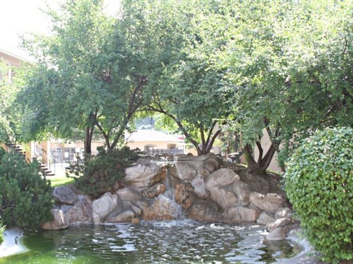 Grounds