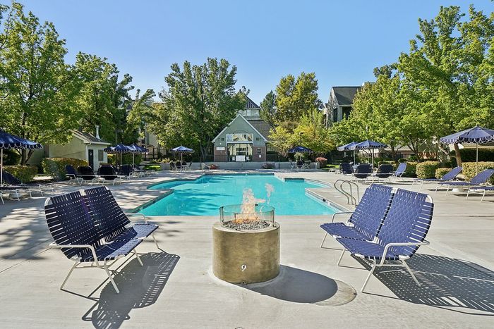Fire Pit/Pool View