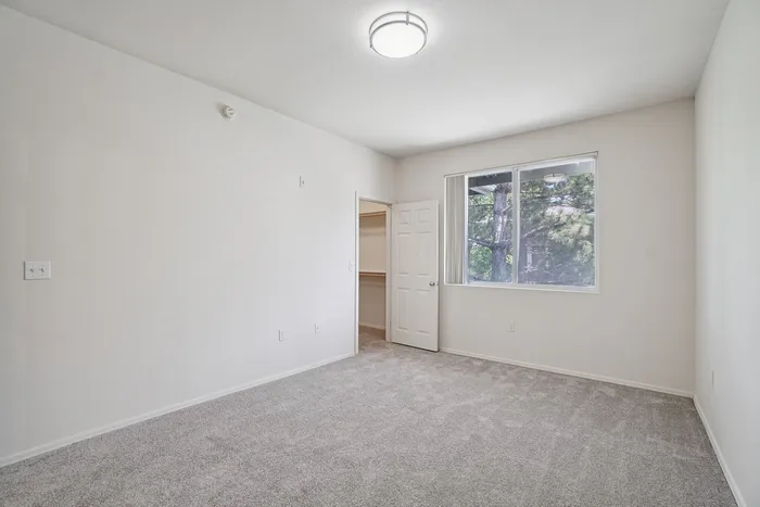 Bright and airy bedroom with plush carpeting, large window with garden view, and spacious closet, perfect for a tranquil retreat.