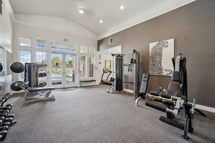 Bright and modern apartment gym with state-of-the-art fitness equipment, large windows, and stylish decor.