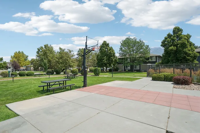 Beautiful outdoor area featuring a well-maintained basketball court, picnic tables, and lush green surroundings, ideal for relaxation and recreation.