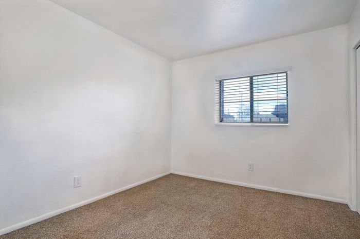 Bright and cozy bedroom room with plush carpet flooring and a window with a view.