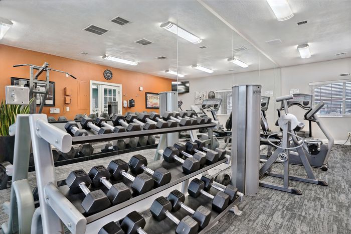 Modern fitness center with state-of-the-art equipment, including dumbbells and cardio machines, set against a stylish orange accent wall.