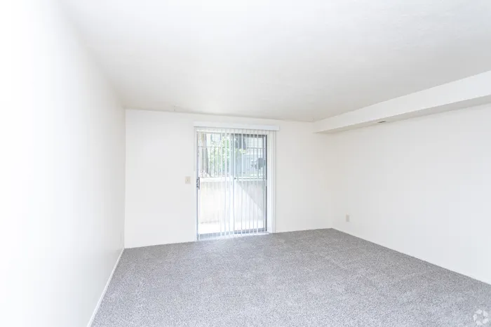 Bright and airy living space featuring plush carpet and large sliding glass door with natural light.