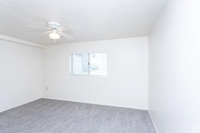 Bright, cozy room with fresh white walls, plush carpet, and a ceiling fan.
