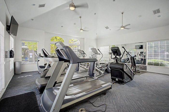 Modern fitness center with state-of-the-art treadmills, elliptical machines, and large windows providing natural light.