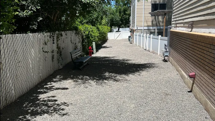Dog Park