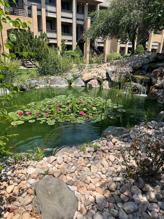 Tranquil courtyard featuring a serene pond with water lilies, surrounded by lush greenery.