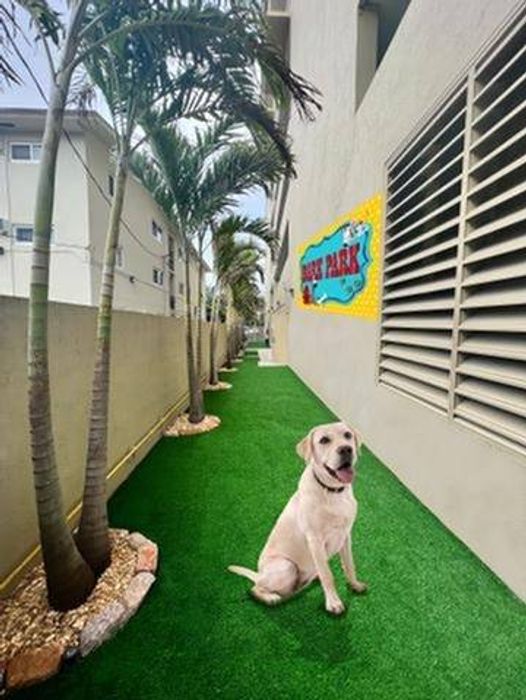 Dog Park with large sign, grass, labrador in photo.