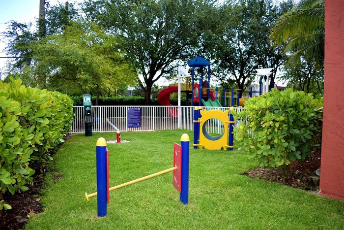 New Dog Park