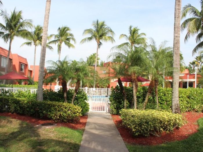 Cherry Grove Village, exterior, palm trees, path to pool