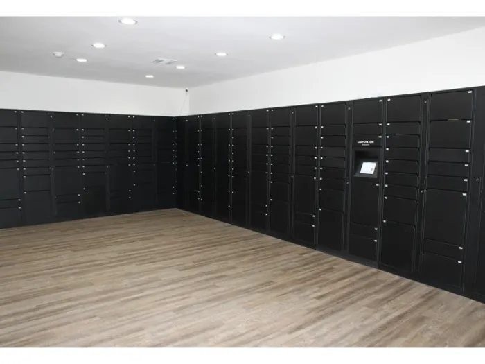 Fontainebleau Milton Apartments, Luxer one package room