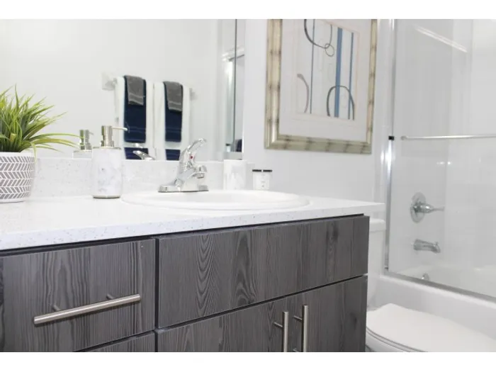 Miami Riverfront Residences, interior, bathroom, quartz countertops, shower, tub, glass enclosures