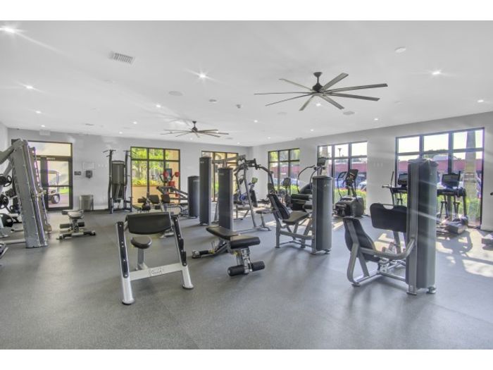 Aventura Harbor Apartments, interior, fitness center, weight machines, treadmills, elliptical, large window view of pool