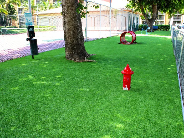 Aventura Harbor Apartments, exterior, fenced dog park, dog toys, trees, tennis court