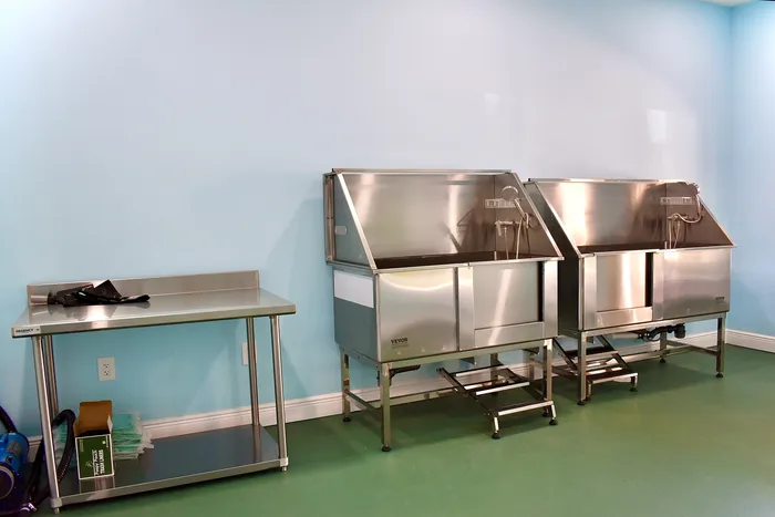 Dog Washing Stations & Drying Table