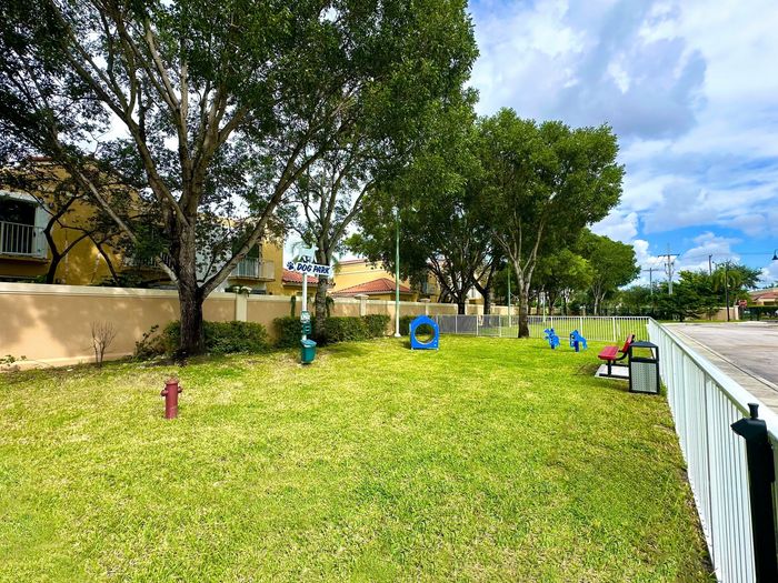 Dog Park