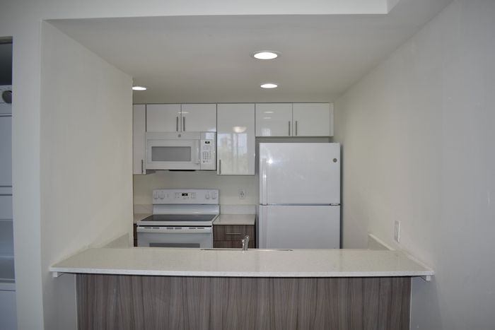 Granite Countertops with Modern, White Plywood Cabinetry With Self-Closing Hinges