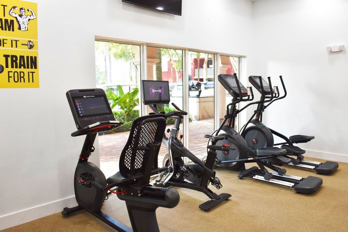 Bright gym area with modern exercise bikes and elliptical trainers near large windows.