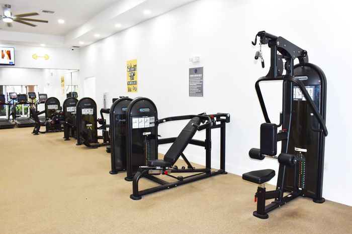 Modern gym with various exercise machines and sleek interior design.