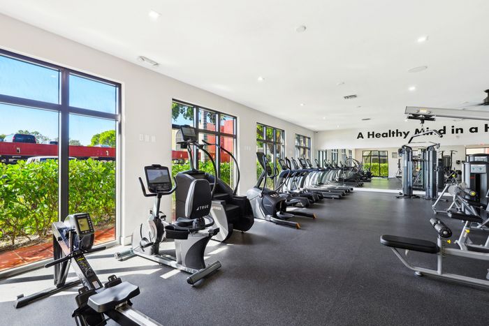 Sunlit modern fitness center with state-of-the-art cardio equipment and a vibrant view of outdoor greenery.