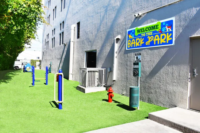 Inviting outdoor space labeled 'Welcome to the Bark Park,' featuring vibrant artificial turf, playful agility equipment, and a convenient pet waste station.