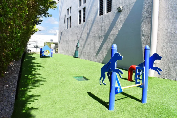 Bright pet-friendly outdoor space with agility equipment and lush greenery, perfect for playful pups to enjoy.