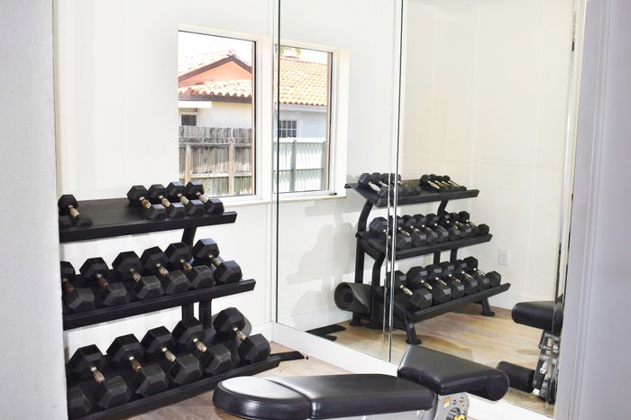 Modern apartment gym with mirrored walls and sleek dumbbell rack, offering a bright and inviting workout space.