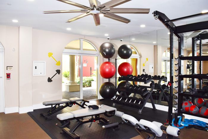 Bright and modern gym facility featuring exercise benches, colorful stability balls, and extensive weight rack with mirror and natural light from arched windows.