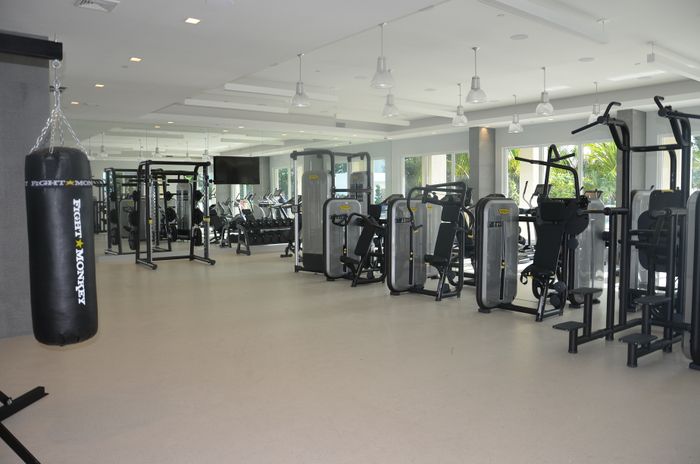 Modern luxury gym with state-of-the-art equipment, boxing bag, and large windows offering natural light and lush greenery views.